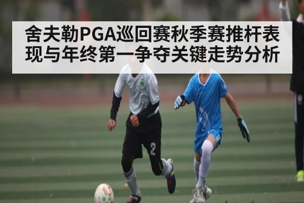舍夫勒PGA巡回赛秋季赛推杆表现与年终第一争夺关键走势分析